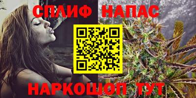 индика Абакан